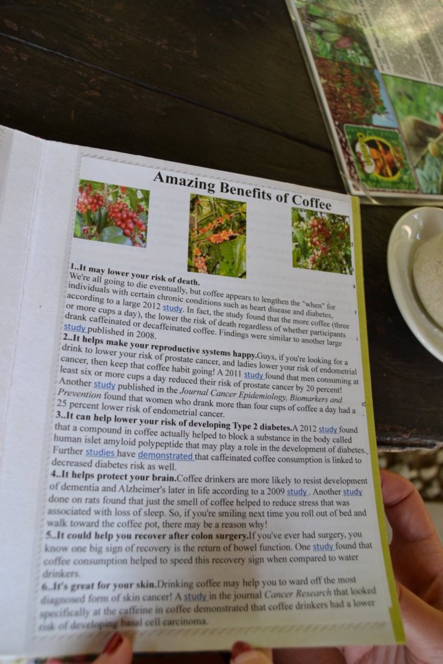 DSC_0132 (FILEminimizer)