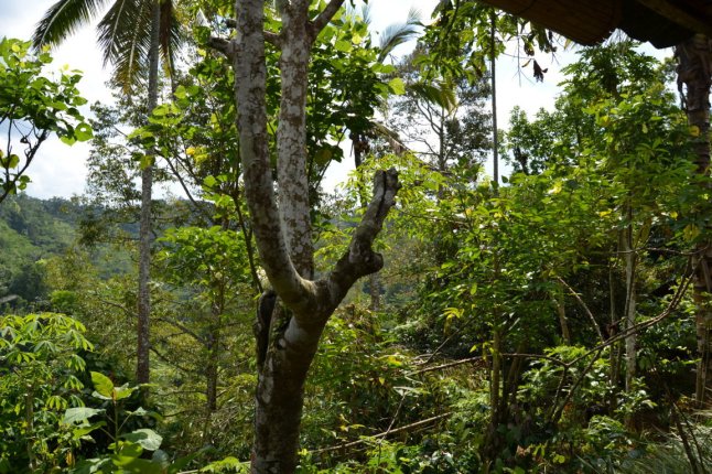 DSC_0134 (FILEminimizer)