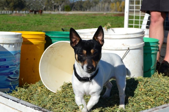 DSC_0136 (FILEminimizer)