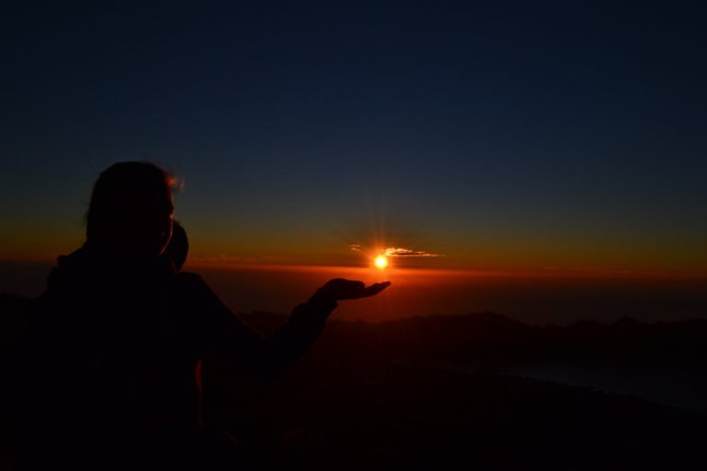 DSC_0137 (FILEminimizer)