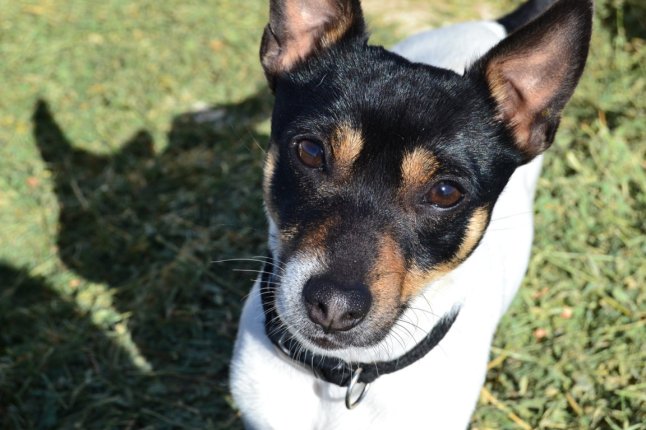 DSC_0138 (FILEminimizer)