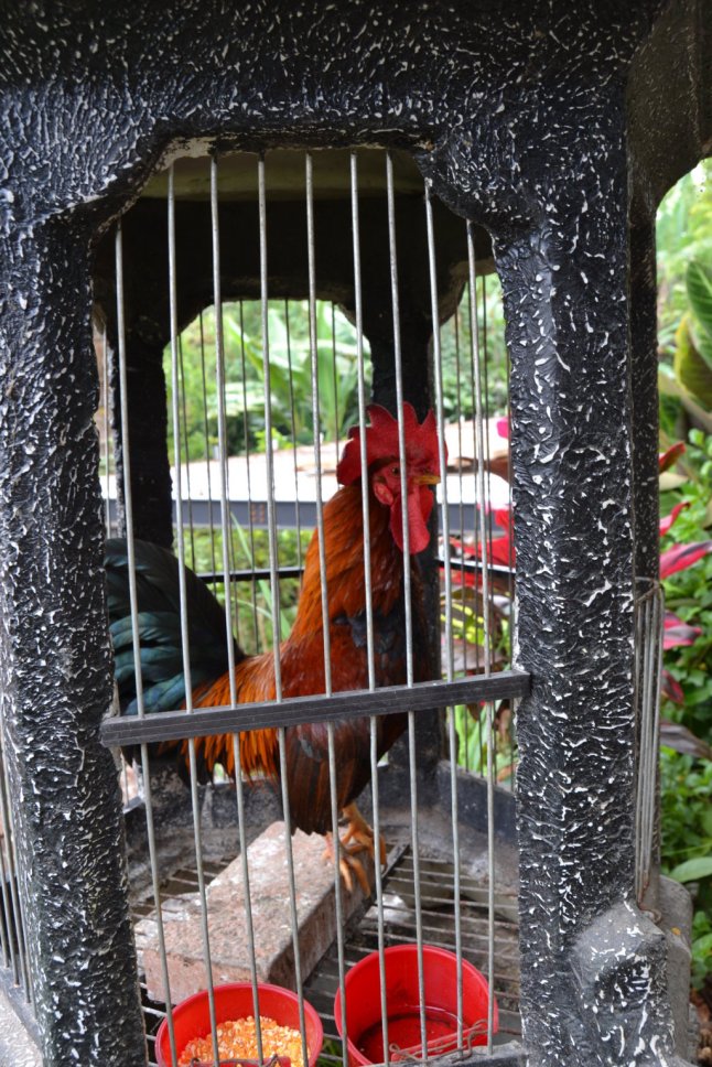 DSC_0143 (FILEminimizer)