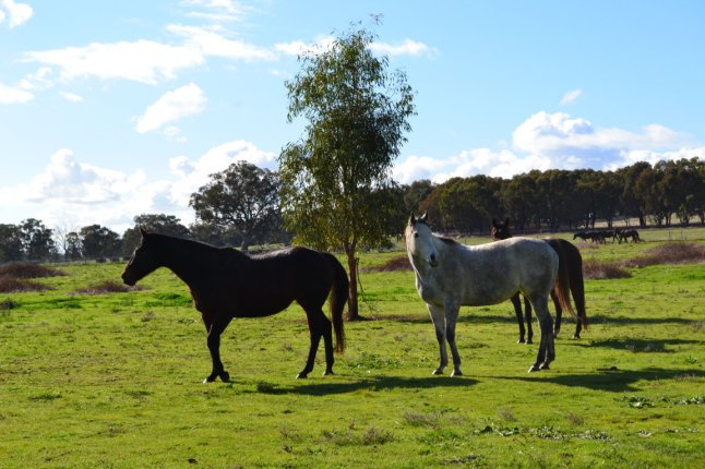 DSC_0144 (FILEminimizer)