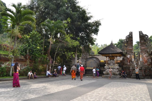 DSC_0146 (FILEminimizer)