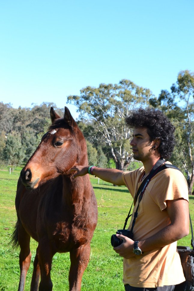 DSC_0155 (FILEminimizer)