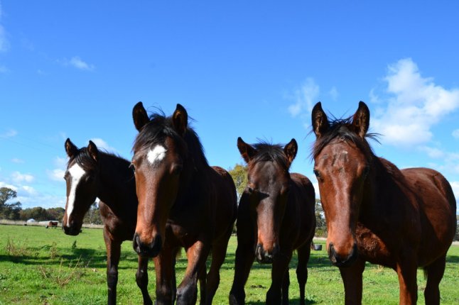 DSC_0162 (FILEminimizer)