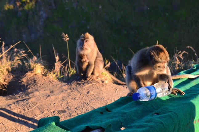 DSC_0181 (FILEminimizer)