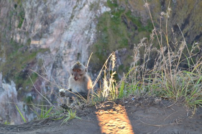 DSC_0183 (FILEminimizer)