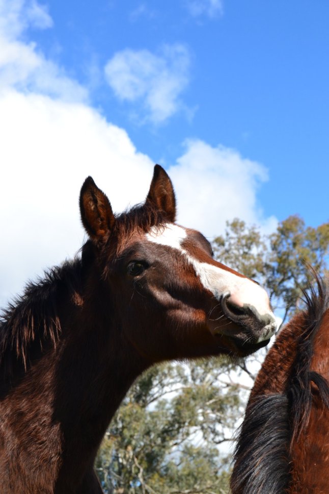 DSC_0197 (FILEminimizer)