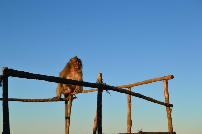 DSC_0203 (FILEminimizer)