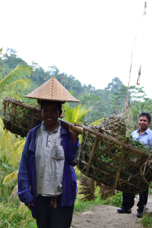 DSC_0210 (FILEminimizer)