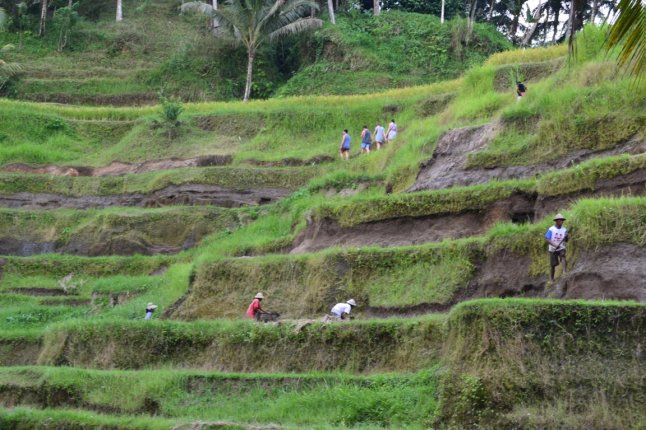 DSC_0211 (FILEminimizer)