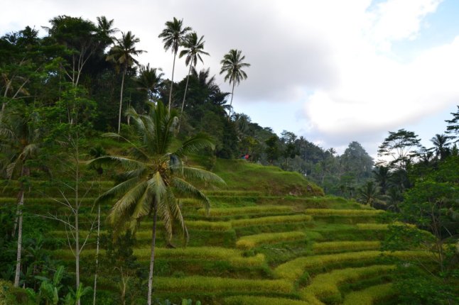 DSC_0218 (FILEminimizer)