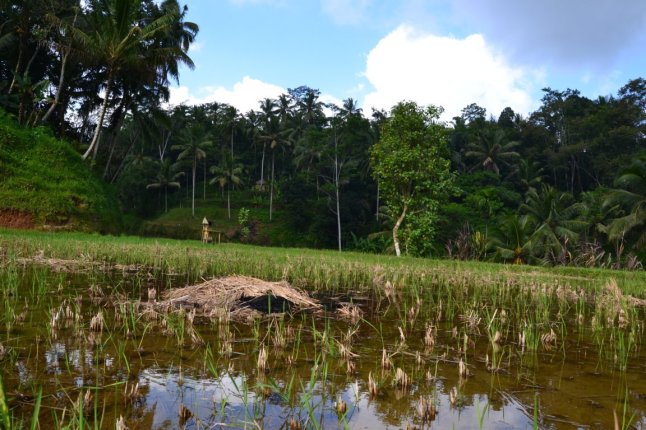 DSC_0221 (FILEminimizer)