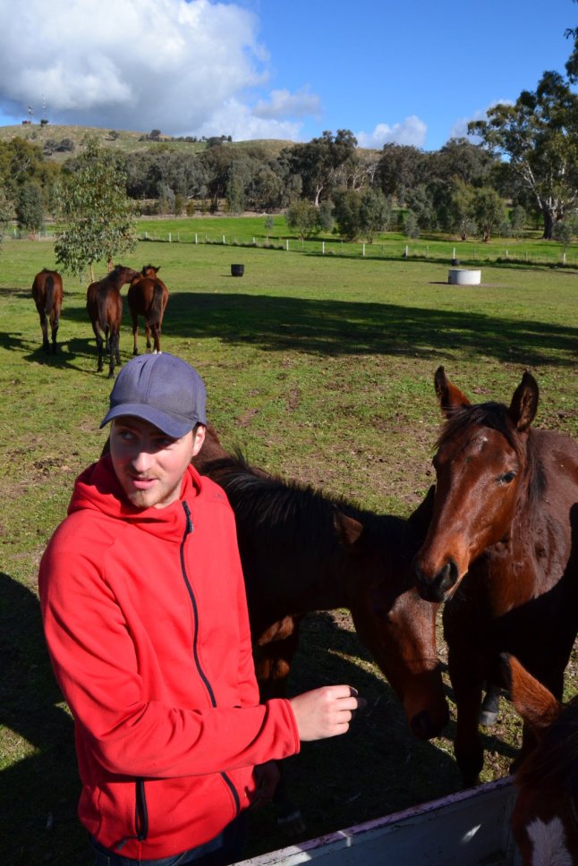 DSC_0222 (FILEminimizer)