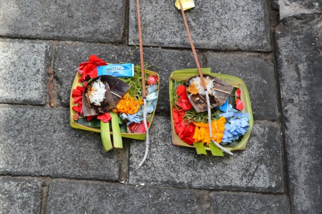 DSC_0225 (FILEminimizer)