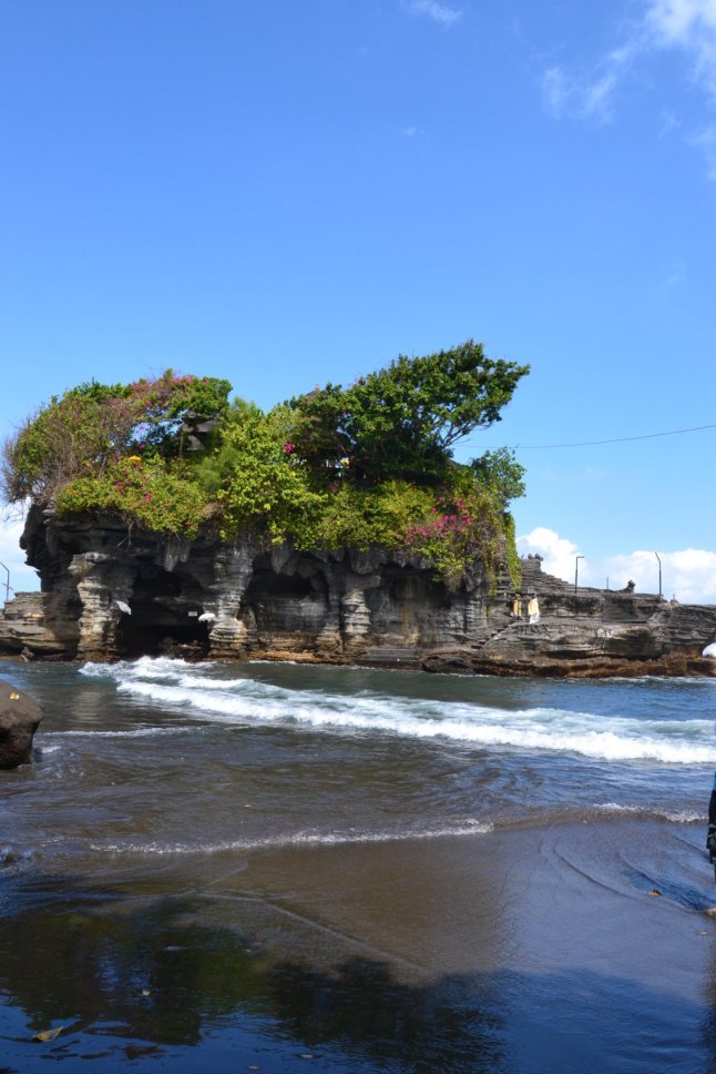 DSC_0231 (FILEminimizer)