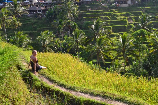 DSC_0236 (FILEminimizer)