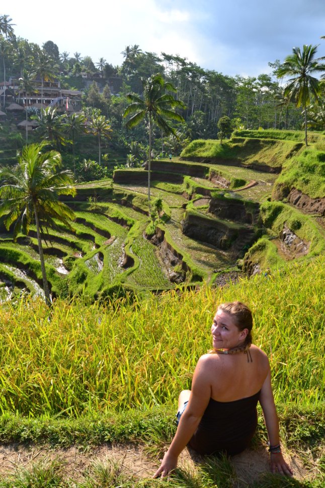 DSC_0244 (FILEminimizer)