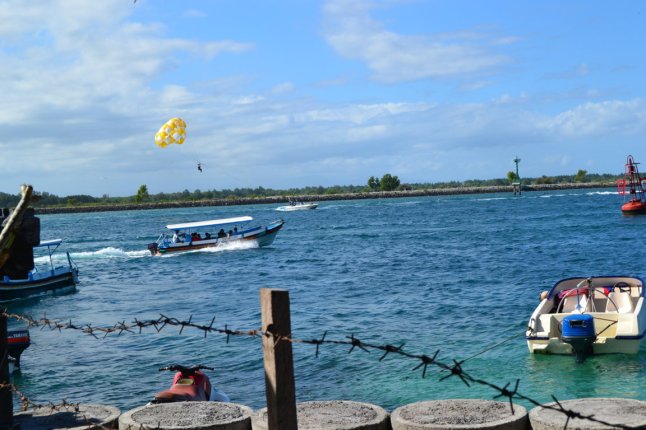 DSC_0245 (FILEminimizer)