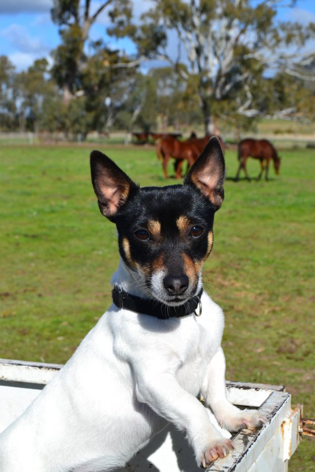 DSC_0250 (FILEminimizer)