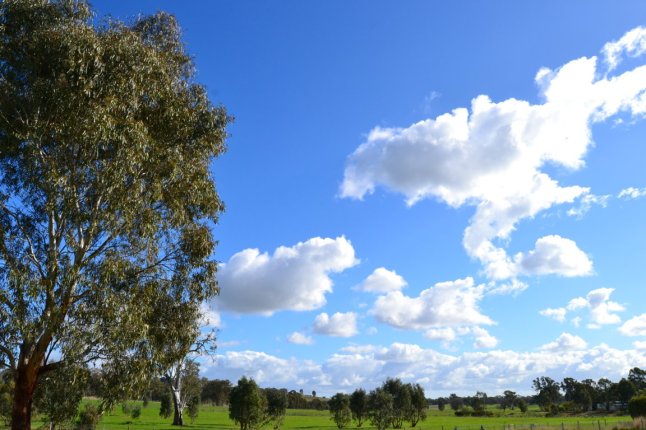 DSC_0266 (FILEminimizer)