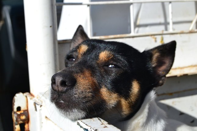 DSC_0274 (FILEminimizer)