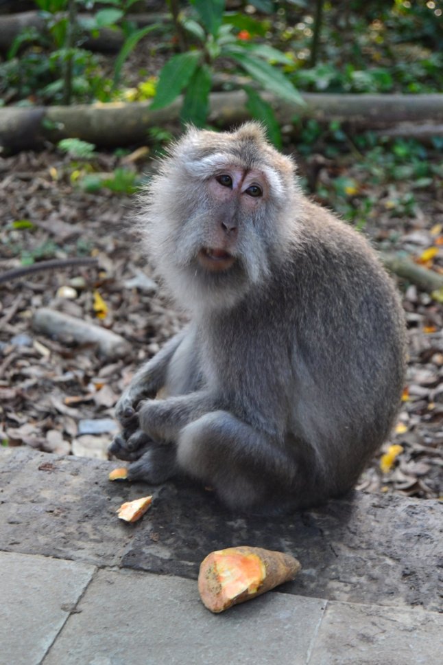 DSC_0274 (FILEminimizer)