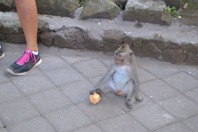 DSC_0311 (FILEminimizer)