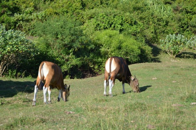 DSC_0363 (FILEminimizer)