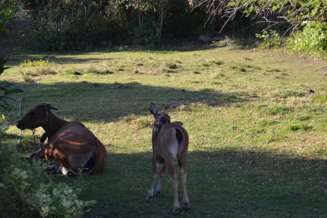 DSC_0369 (FILEminimizer)