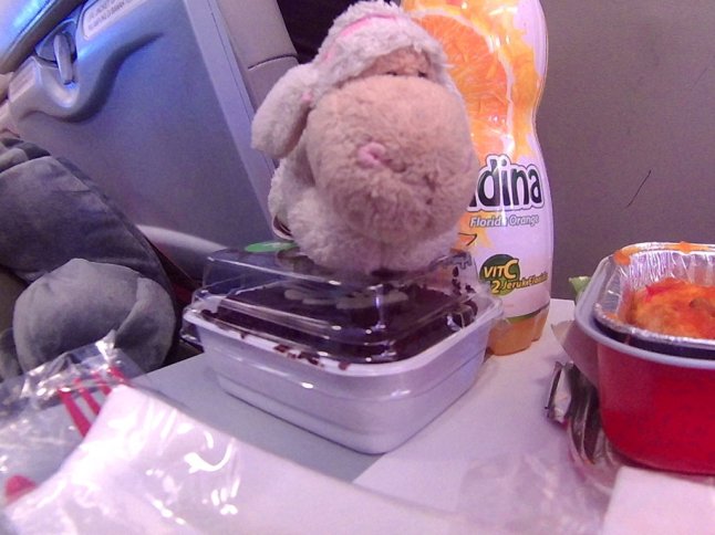 FHD0116 (FILEminimizer)