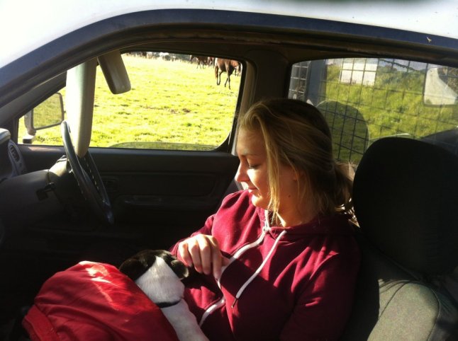 IMG_8783 (FILEminimizer)