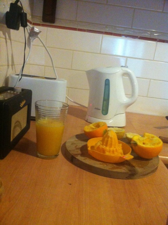 IMG_8981 (FILEminimizer)