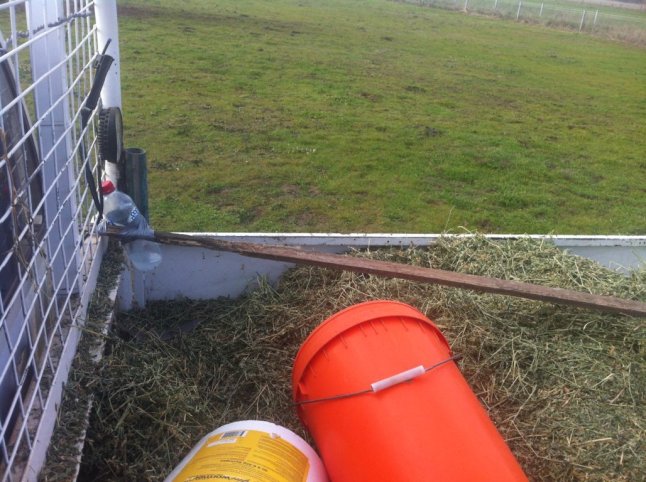 IMG_8984 (FILEminimizer)