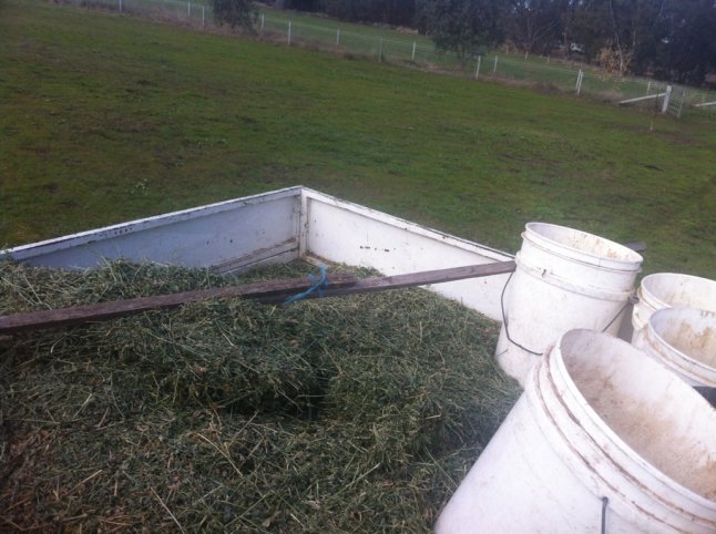 IMG_8985 (FILEminimizer)