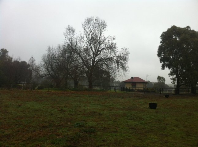 IMG_9041 (FILEminimizer)