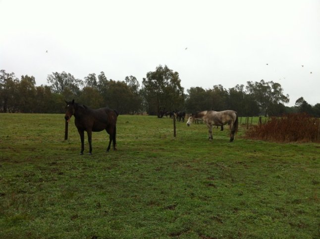 IMG_9052 (FILEminimizer)