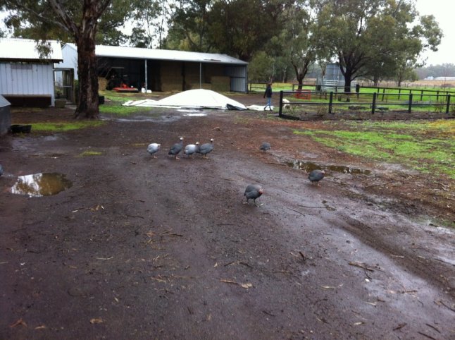 IMG_9060 (FILEminimizer)