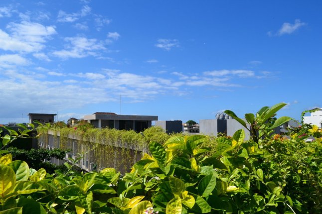 DSC_0010 (FILEminimizer)