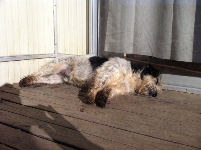 IMG_9646 (FILEminimizer)