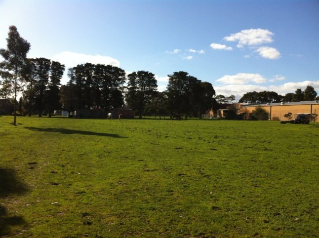 IMG_9704 (FILEminimizer)