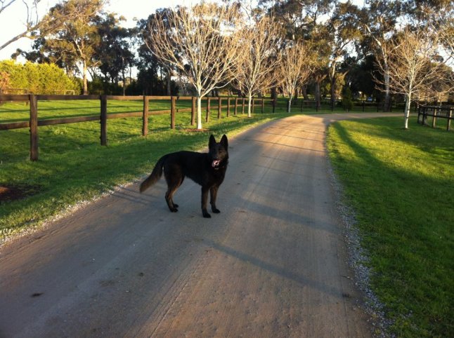 IMG_9744 (FILEminimizer)