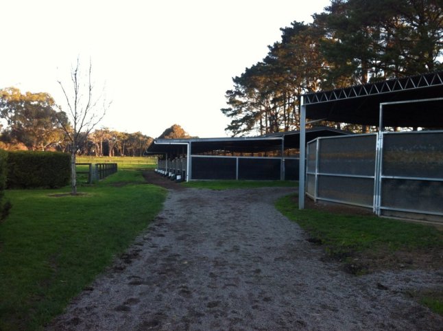 IMG_9761 (FILEminimizer)