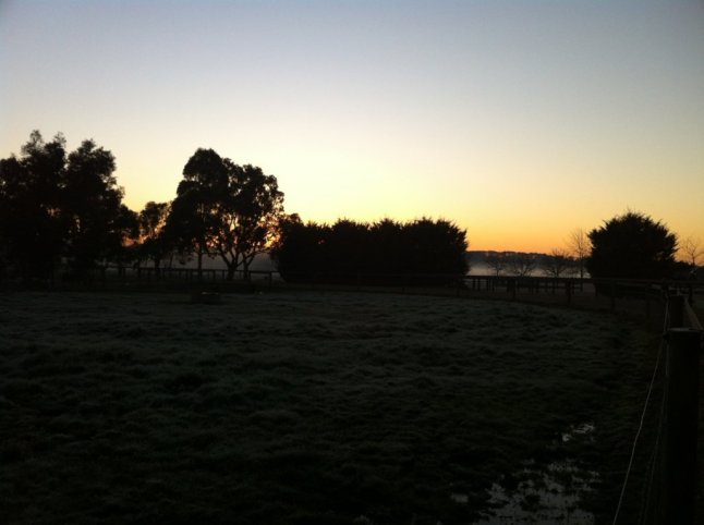 IMG_9778 (FILEminimizer)