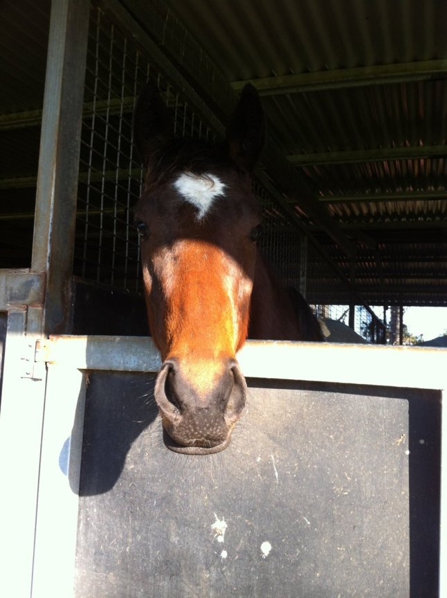 IMG_9818 (FILEminimizer)