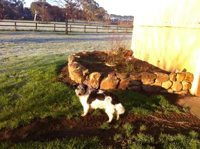 IMG_9860 (FILEminimizer)