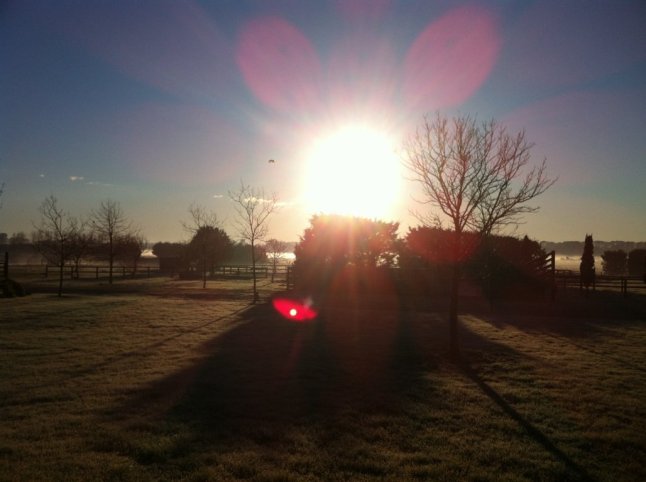 IMG_9861 (FILEminimizer)