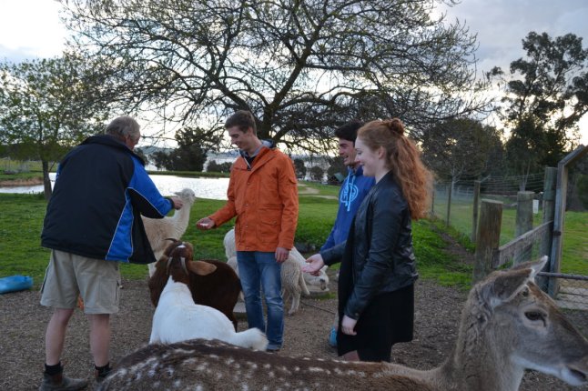 DSC_0058 (FILEminimizer)