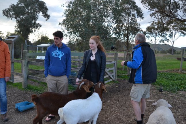 DSC_0063 (FILEminimizer)